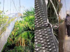 Safety First: Lagos Government Takes Action, Orders Closure of Lekki Conservation Centre